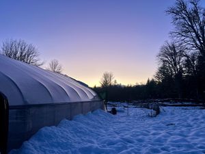 Greenhouse in the winter